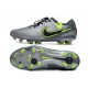 Nike Tiempo Legend 10 Elite FG Silver Green Black Green Low Soccer Cleats For Men